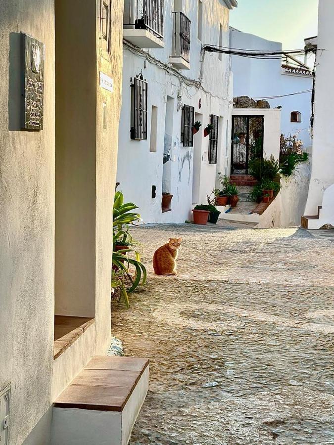 Penzion El Corralon Frigiliana Exteriér fotografie